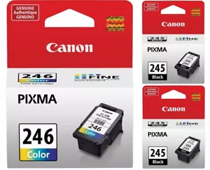 Original Canon PG-245 Tintenpatronen Schwarz (2X) + CL-246 Color Tintenpatrone - Bild 1 von 3