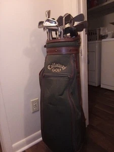 42 Golf Clubs 2 Golf Bags And 162 Golf Balls Everything Is In Good Condition - Picture 1 of 11