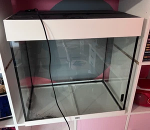 juwel aquarium lido 120, mit den üblichen Gebrauchsspuren zu verkaufen. - Bild 1 von 3