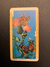 BROOKE BOND RED ROSE TEA CARDS - SERIES 8 - BUTTERFLIES OF NORTH AMERICA