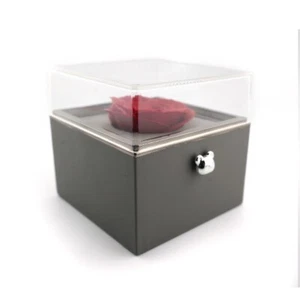 Amore Box - Rote Rose Schmuck Geschenkbox mit Teddybär Knopf (nur Box) - Bild 1 von 9