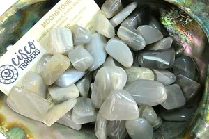 Six Silver Moonstone Tumbled Stones Medium Size 15-20mm Reiki Healing Crystals - Picture 1 of 4