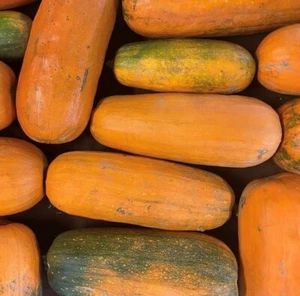 Long Pie Pumpkin Seeds | Heirloom | Organic - Picture 1 of 1