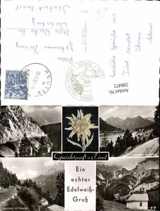 598472,Material Ak Echter Edelweiß Gruß Gaichtpaß Nesselwängle - Bild 1 von 1