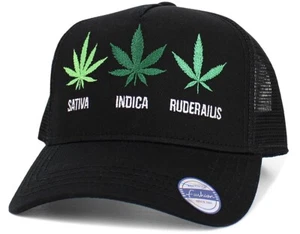 Mary Jane Strains Cap Sativa, Indica, 420, Pot, Black Snapback Hat by KB Ethos - Picture 1 of 3