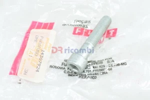 14307924 VITE SUPPORTO POMPA SERVO STERZO FIAT MAREA PALIO PUNTO SIENA E ALTRE - Picture 1 of 1