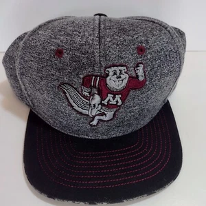 University of Minnesota Golden Gophers Zephyr Snapback Cap Mütze Maskottchen College - Bild 1 von 7