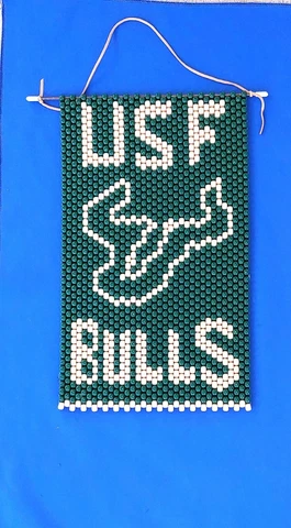 UFC University South Florida Bulls Banner Made of Beads 15" x 8" Cover
