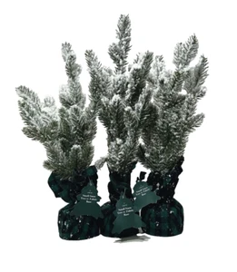 15 inch Tabletop Artificial Mini Christmas Pine Tree Snow Fabric Base (3Pk) - Picture 1 of 3