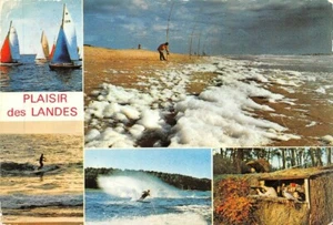 Freuden Des Heidschnucke - Multi-View - Imagen 1 de 2