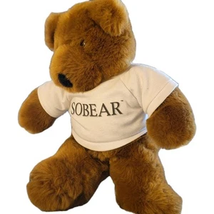 Peluche orso americano Wego vintage 1995 sobear marrone 14" usato - Foto 1 di 11