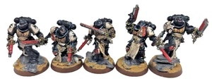 Warhammer 40k Space Marines Assault Intercessors Black Templar Painted GW 40 k - Picture 1 of 8