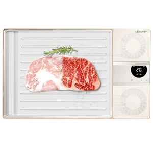 Meat Defrosting Tray - Thawing Tray for Frozen Meat - Picture 1 of 9
