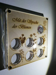 Münzaufsteller Rahmen für die 10 Euro Serie "Mit der Sprache der Blumen" Rose - Bild 1 von 8