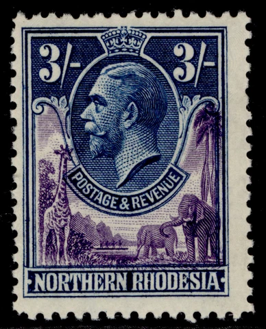 NORTHERN RHODESIA GV SG13, 3s violet & blue, NH MINT. Cat £48 Cover
