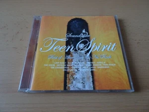 Doppel CD Sounds like Teen Spirit : Limp Bizkit Depeche Mode Placebo Oasis Pulp - Bild 1 von 1