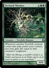 Morningtide Orchard Warden x4 Magic The Gathering NM