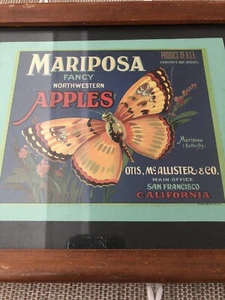 Vintage Apfelkiste Etikett der Marke Mariposa, Schmetterling ausgefallen 10,75”x8,75” - Bild 1 von 5