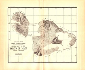 ISLAND OF MAUI, LAHAINA, HAWAIIAN ISLANDS Antique dated map 1884 - Picture 1 of 1