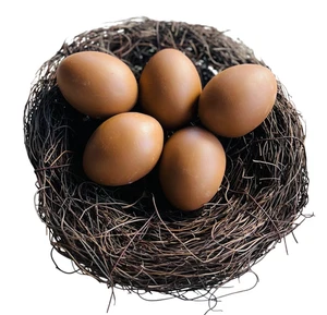 5 huevos de nido gallina XL para gallinas ponedoras huevo de cerámica huevos de yeso huevo de nido marrón 060.015 - Imagen 1 de 1