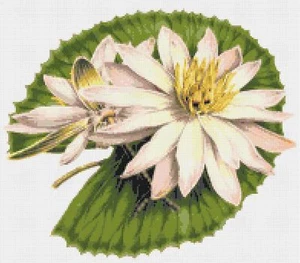 Lily Pad Handmade Counted Cross-Stitch Pattern Chart Bella Stitchery - Picture 1 of 1