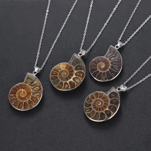 Natural Madagascar Sea Conch Fossil Ammonite Silver Wrapped Pendant Necklace - Picture 1 of 15