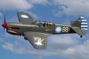 RC Airplane Aircraft Warbird Fighter Nexa P-40 Warhawk 1570mm 61.8" Wingspan ARF - Picture 1 of 8