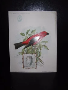 Postales The American Singer Series No 3 Scarlet Tanager - Imagen 1 de 2
