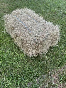 Allgäuer Heu, 16 kg Qualitäts Heuballen, Natur, 1. Schnitt 2024 - Bild 1 von 4