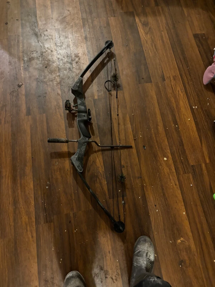 arco compuesto Foto 1 de 1