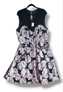 City Chic Women's Arlette Dress Plus Size Fit and Flare Mini Dress Large - Picture 1 of 12