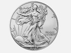 1 Troy Oz Fine Silver 2024 American Eagle Walking Liberty Bullion Coin- New