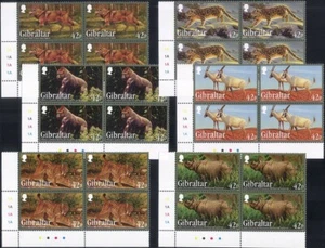 Gibraltar 2012 Gorilla/Lynx/Wolf/Leopard/Rhino/Oryx/Animals/Nature 6v c/b b4469c - Picture 1 of 1
