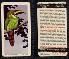 Brooke Bond Canada, Tropical Birds 1964 VG (any from 25-48 list)