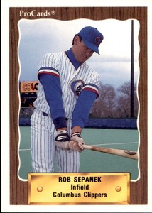1990 Columbus Clippers ProCards #684 Rob Sepanek Detroit Michigan Baseball Card