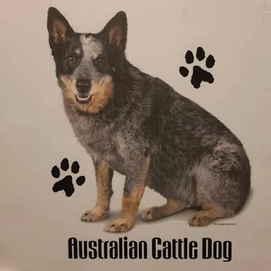 AUSTRALIAN CATTLE DOG BLUE DOG BREEDS PROFILE DESIGNS SHIRT (FRONT PRINT ONLY)  - Picture 1 of 3