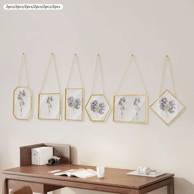 12Pcs Wall Hanging Photo Frame Brass Hang Glass Frames for Plant Specimen Decor - Image 1 of 4