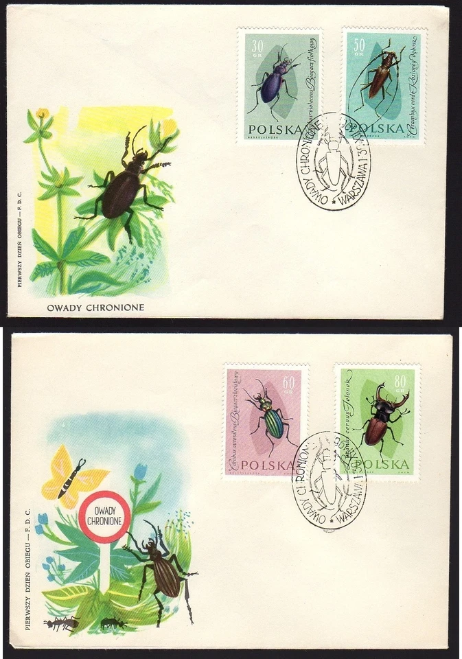 POLAND 1961 FDC First Day Cover Bugs Insects - Image 1 of 1