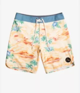 Quiksilver Herren Standard Hanfstretch Jakobsmuschel 19 Boardshorts, goldene Stange Gr. 38 - Bild 1 von 4