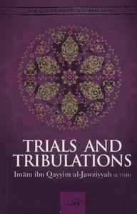 Trials and Tribulations - Picture 1 of 4