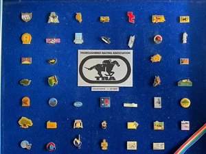 Thoroughbred Racing Association Collectors Horse Racing PIN (Lot Of 42 Pins ) - Picture 1 of 11