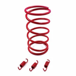2000 RPM TORQUE & CLUTCH SPRINGS SET 50cc - 100cc QMB139 SCOOTER - Picture 1 of 2