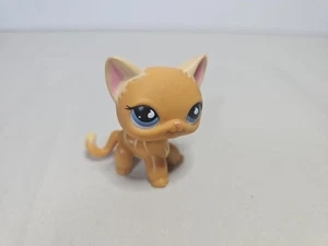 Littlest Pet Shop Authentic Orange Shorthair Cat Blue Eyes Teardrop C-031 - Picture 1 of 5