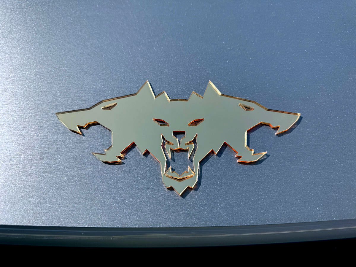 2 Unidades De Edición Limitada Sport Trunk Trup Emblema Door | Envío Gratis