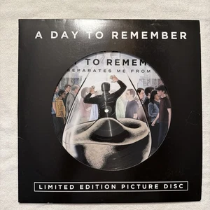 A Day To Remember What Separates Me From You Limited Edition Picture Disc 🔥 - Picture 1 of 7