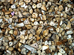 Picture Jasper Loose Chips 500g (1/2kg) DIY Jewellery Making Bracelets Earrings - Bild 1 von 2