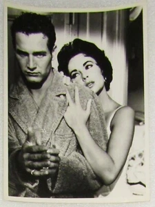 1958 KATZE AUF EINEM HEISSEN BLECHDACH Pressefoto / Destille - Paul Newman, Elizabeth Taylor - Bild 1 von 2