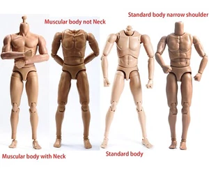 Modellino corpo uomo muscolo/standard 1/6 Europa maschio 12" giocattolo adatto testa con collo - Foto 1 di 20