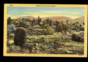 Postal Barril Cactus on the Desert, AZ (P-1-G) - Imagen 1 de 2