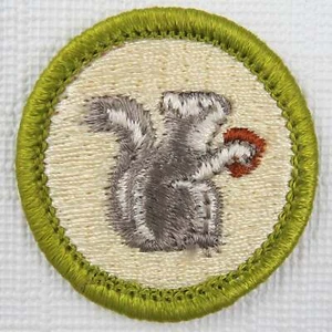 Mammals/Mammal Study Current Plastic Back Merit Badge [MB-142] - Picture 1 of 1